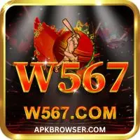 W567 Game